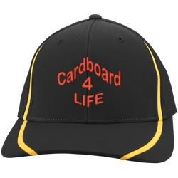 Cardboard 4 Life, Flexfit Colorblock Cap