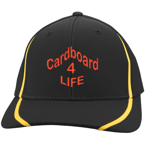 Cardboard 4 Life, Flexfit Colorblock Cap