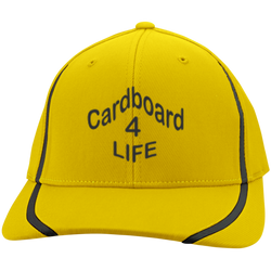 Cardboard 4 Life - Flexfit Colorblock Cap
